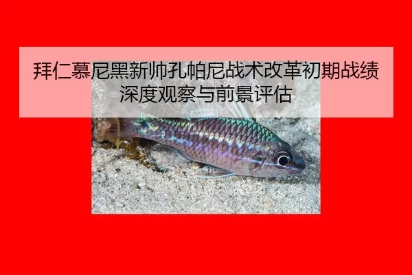 bai-ren-mu-ni-hei-xin-shuai-kong-pa-ni-zhan-shu-gai-ge-chu-qi-zhan-ji-shen-du-guan-cha-yu-qian-jing-ping-gu-3-953.jpg
