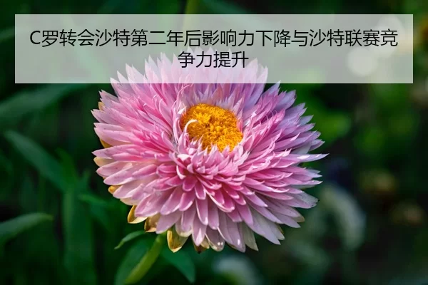 luo-zhuan-hui-sha-te-di-er-nian-hou-ying-xiang-li-xia-jiang-yu-sha-te-lian-sai-jing-zheng-li-ti-sheng-2-722.jpg